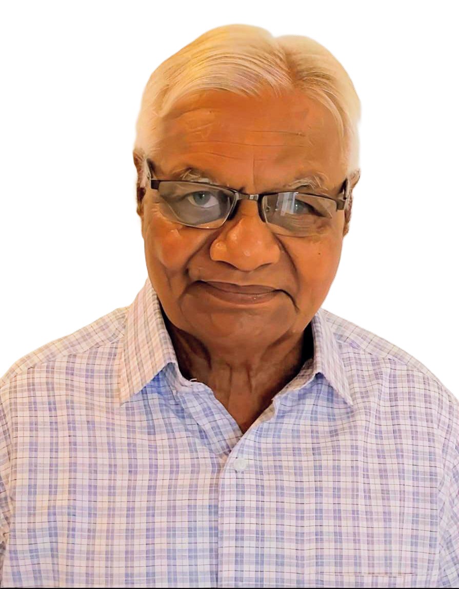 Shri Dinesh Narain Mathur