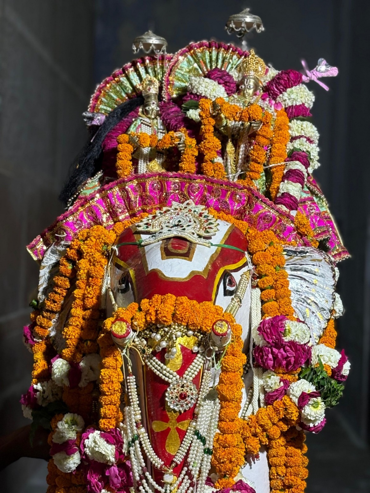 Shri Gaja Vahan