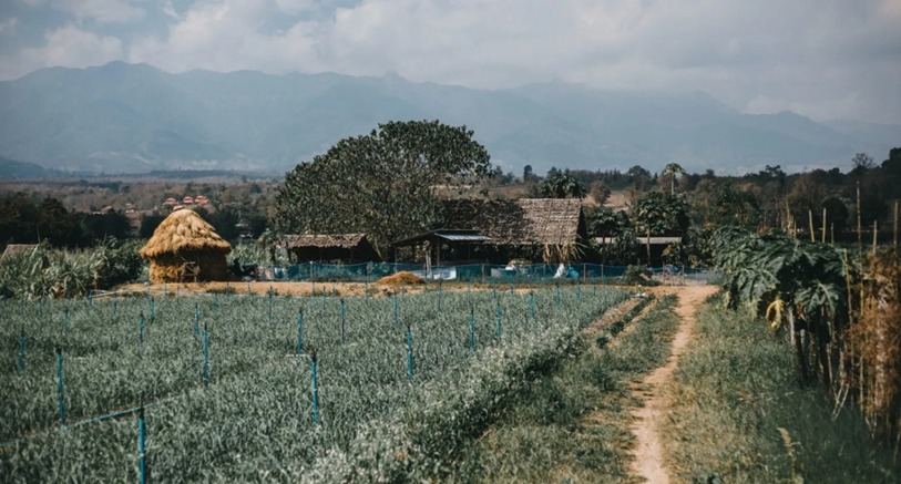 Madanpur Village View
